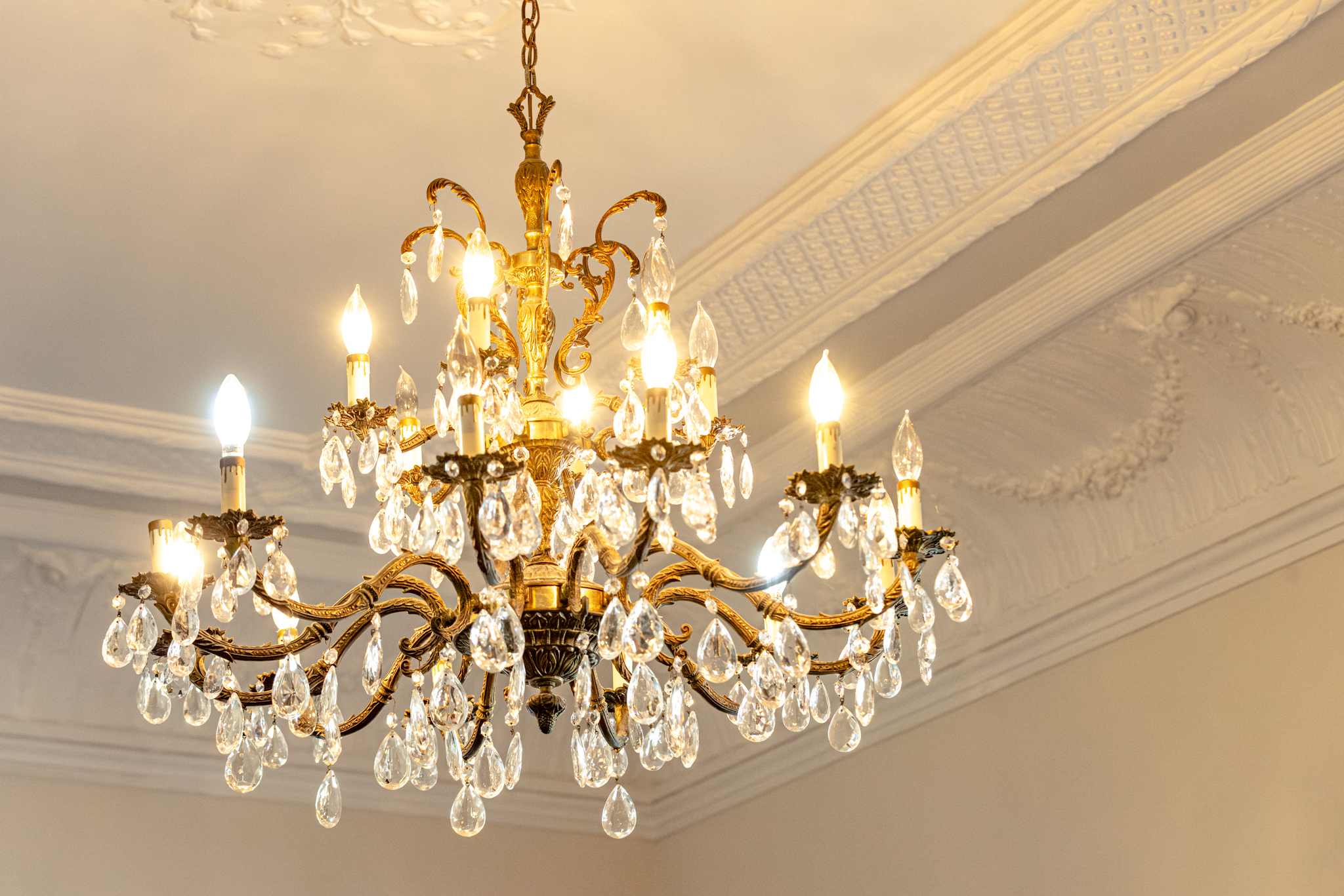 The Elevated Garden Society — Seminole Heights, Tampa